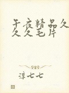 午夜精品久久久久久毛片