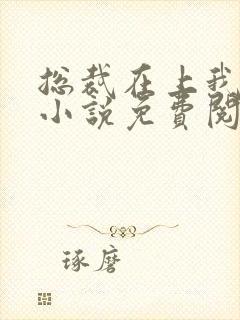 总裁在上我在下小说免费阅读封面