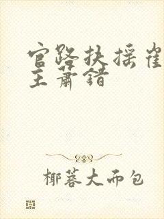 官路扶摇崔向东主萧错封面