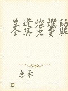 生逢灿烂的日子全集免费版