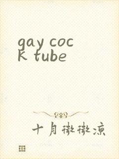 gay cock tube