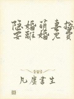 隐婚萌妻总裁我要离婚免费