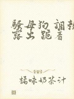 骚母狗 调教 露出 跪着