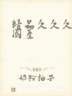 精品久久久久久国产