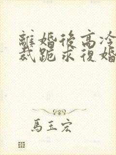 离婚后高冷女总裁跪求复婚