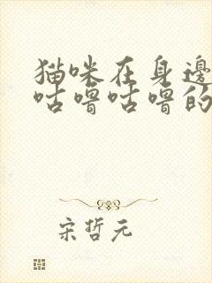 猫咪在身边发出咕噜咕噜的声音封面