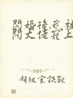 闪婚后,我被财阀大佬宠上天