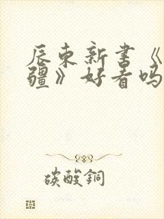 辰东新书《夜无疆》好看吗封面