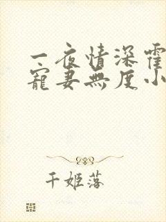 一夜情深霍先生宠妻无度小说免费阅读