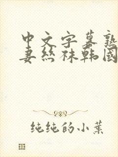 中文字幕熟女人妻丝袜韩国电影