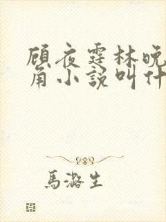 顾夜霆林晚晚配角小说叫什么名字