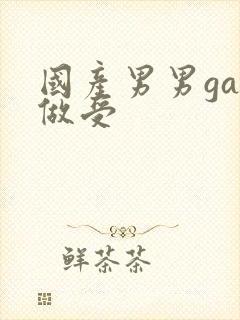 国产男男gay做受