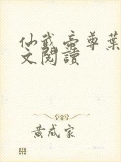 仙武帝尊叶辰全文阅读