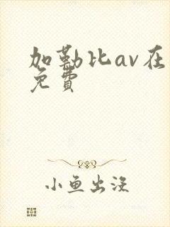 加勒比av在线免费