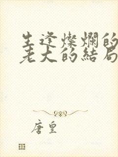 生逢灿烂的日子老大的结局