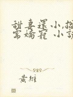 甜妻还小,总裁需娇宠 小说