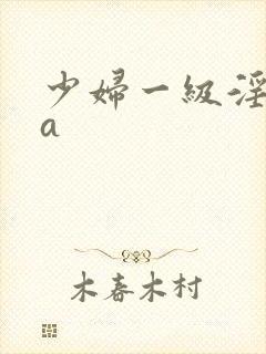 少妇一级淫片aa