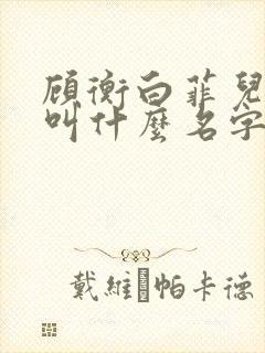 顾衡白菲儿小说叫什么名字