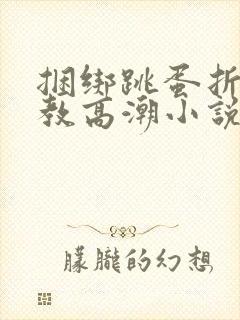 捆绑跳蛋折磨调教高潮小说