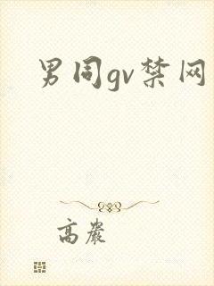 男同gv禁网站