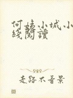 何姨小城小说在线阅读封面