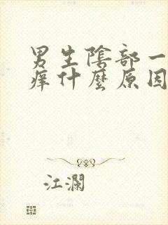 男生阴部一直瘙痒什么原因