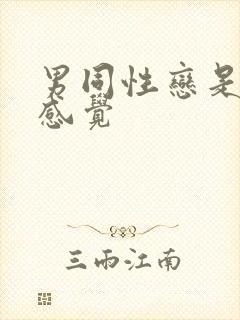 男同性恋是什么感觉