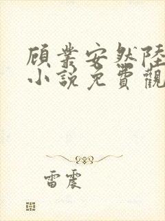 顾丛安然陆斐之小说免费观看