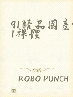 91精品国产91裸体