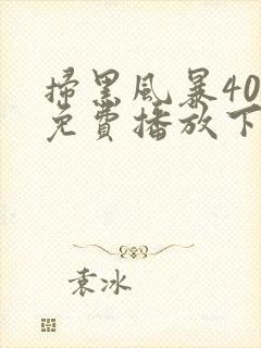 扫黑风暴40集免费播放下载封面