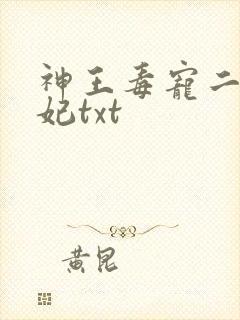 神王毒宠二嫁王妃txt