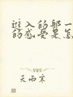 进入的那一刻你的感受是怎样