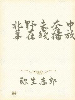 北野未奈中文字幕在线播放封面