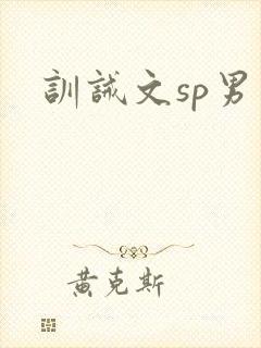 训诫文sp男男