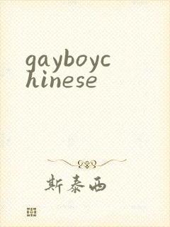 gayboychinese封面