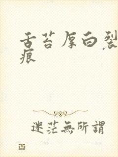 舌苔厚白裂纹齿痕