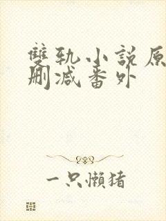 双轨小说原著未删减番外封面