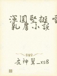 浑圆坚挺 雪白 乳房小说