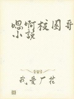 嗯啊校园哥哥新小说封面