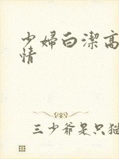 少妇白洁高义激情