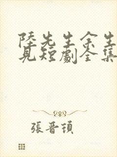 陆先生余生不再见短剧全集免费