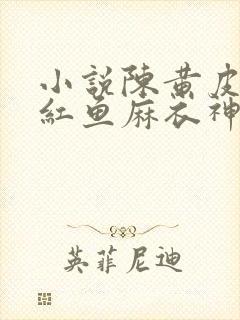 小说陈黄皮,叶红鱼麻衣神婿