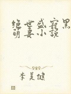 绝世盛宠黑帝呆萌妻小说