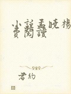 小说孟晓杨易免费阅读封面