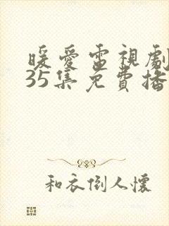 暖爱电视剧全集35集免费播放封面