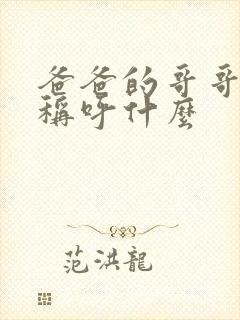 爸爸的哥哥应该称呼什么