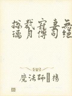 总裁宠妻无度沈璃月傅司绝