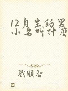 12月生的男孩小名叫什么好封面