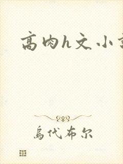 高肉h文小说封面