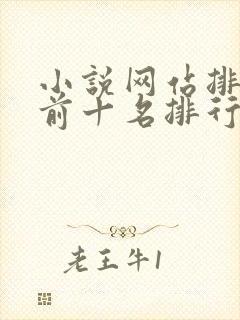 小说网站排行榜前十名排行榜封面